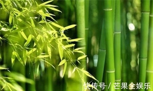 迎春$七言律诗一首:迎春