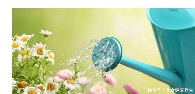 养花浇水的忌讳，“3种水”别浇花，浇一盆黄一盆，要牢记！