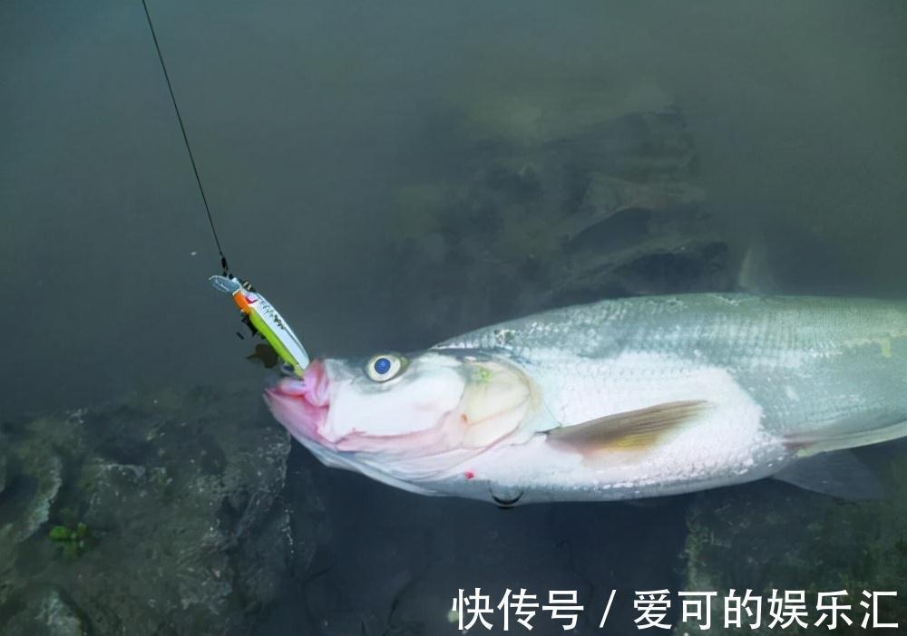 一说冬钓,就是鲫鱼,试试这几种目标鱼,冬季给口也很好