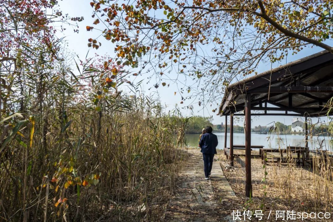 白塔|白塔湖里有个桃花岛，可以现场观看当地村民捕鱼，场面极为壮观