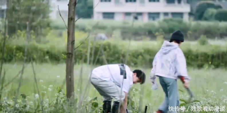 陈赫|《向往的生活》李诞和陈赫有多吵?张艺兴充满无奈、黄磊喊头疼