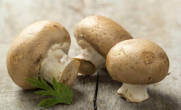 糖尿病|糖尿病患者,如果戒不掉3种“高糖”食物,胰岛素可能白打了!