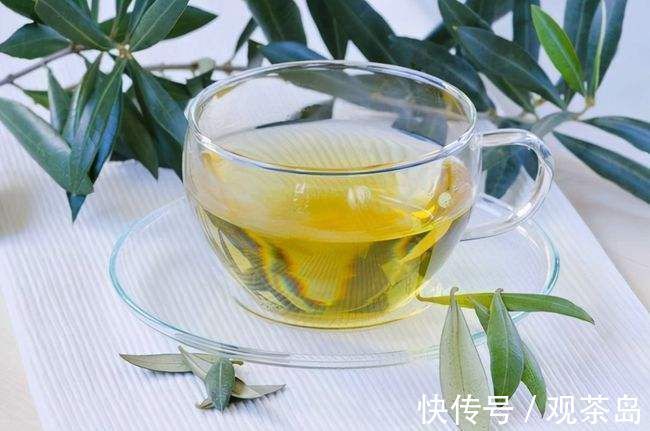 梅花茶|春天喝什么茶养生?你喝对了吗