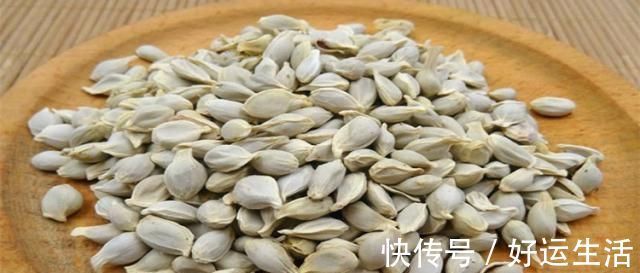 不起眼的橘子籽,这个厉害用途超棒,学会立马省下不少钱