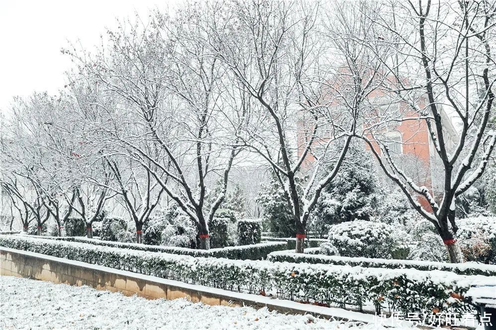 西安翻译学院：银装素裹雪景美如画