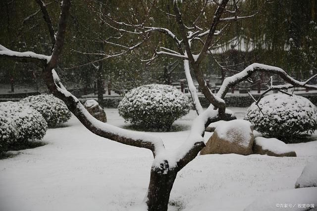 雪文#冬雪诗词28首:巧遇漫天飘早雪，吟诗唱和喜迎冬