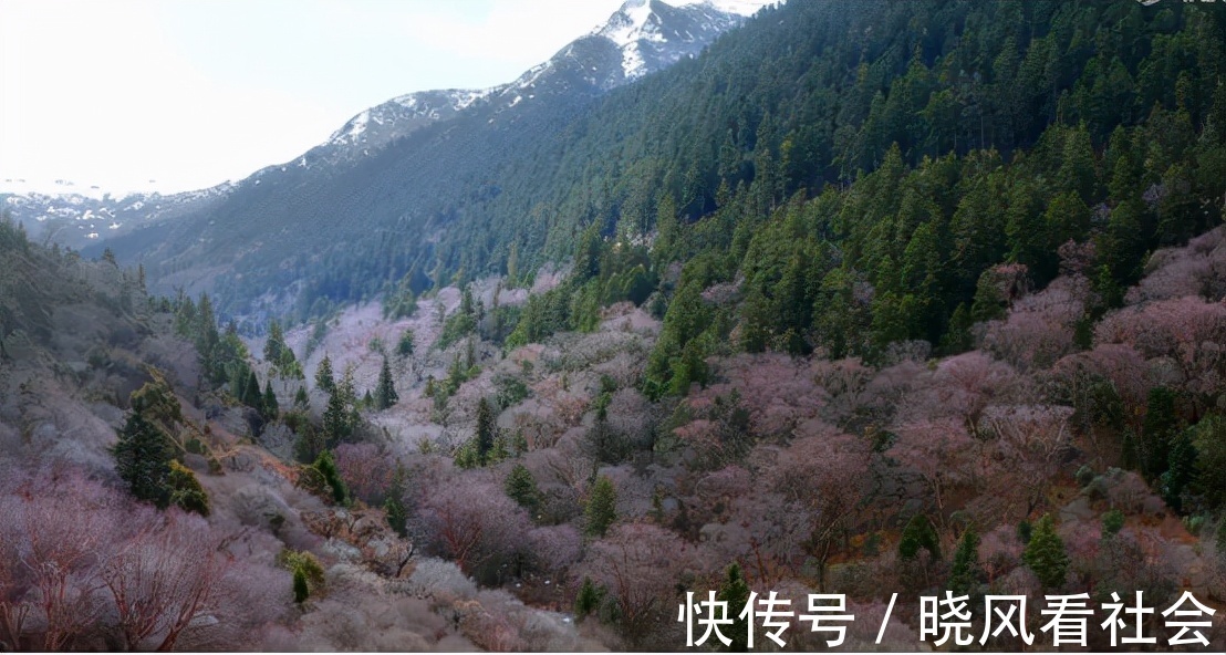 年度最佳综艺纪录片,钟汉良重走长征路,在雪山上致敬先辈