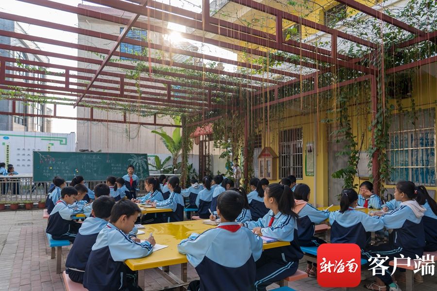 菜地|儋州藤根小学：把课堂搬到菜地 七彩田园课程让孩子快乐学习