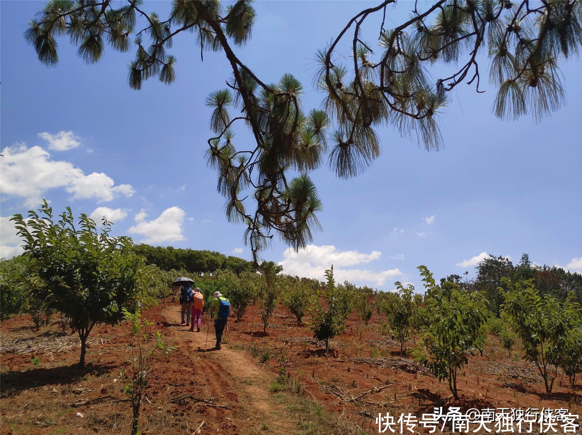 从太阳谷穿越到石林大叠水瀑布，一路幽谷甘泉，山野品茗放飞心灵