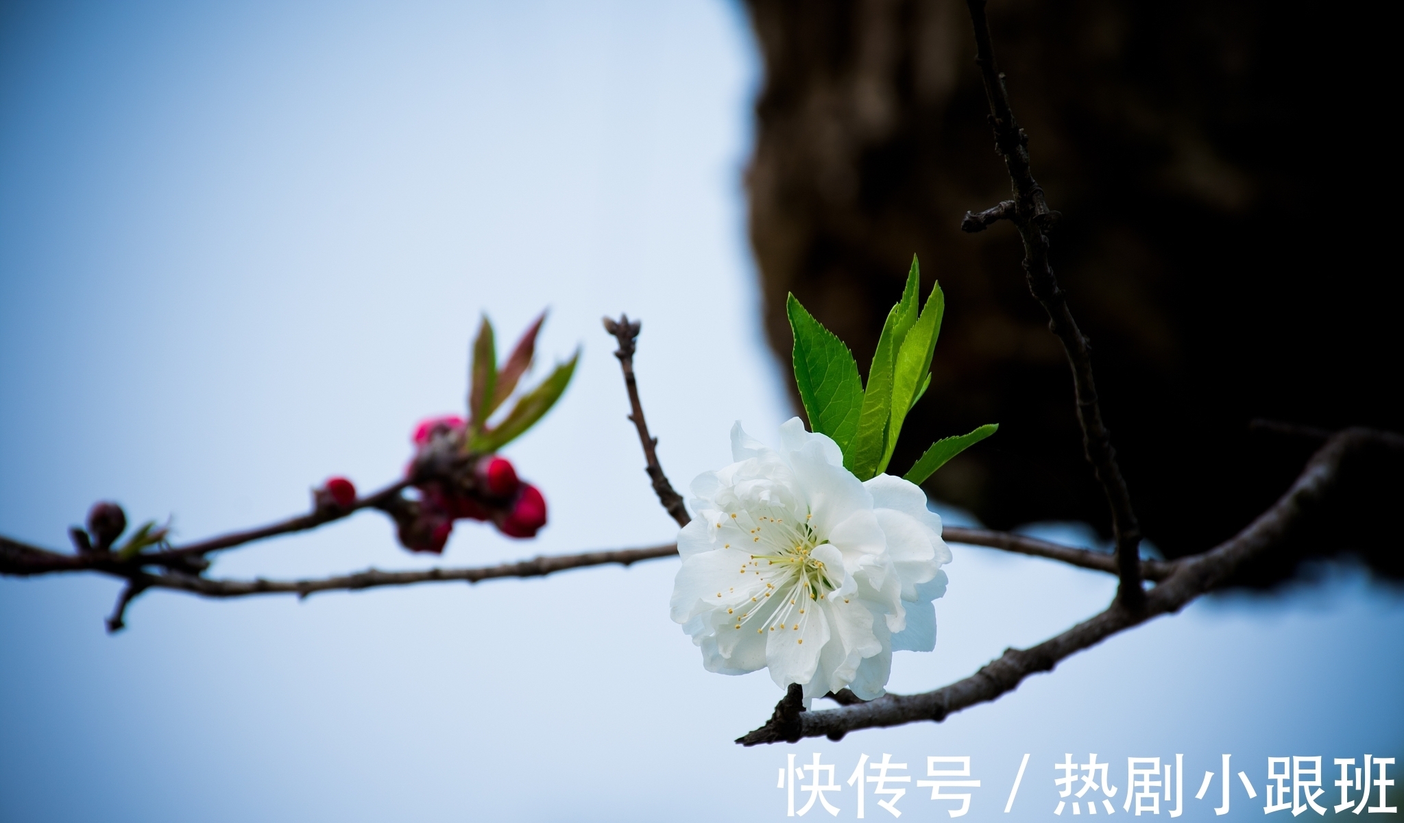 江南客&表达思乡的一首诗,句句感人至深,可惜很多人没有读过