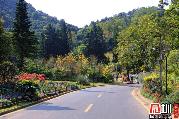 人间三月芳菲始 仙湖植物园绽放诗意春日