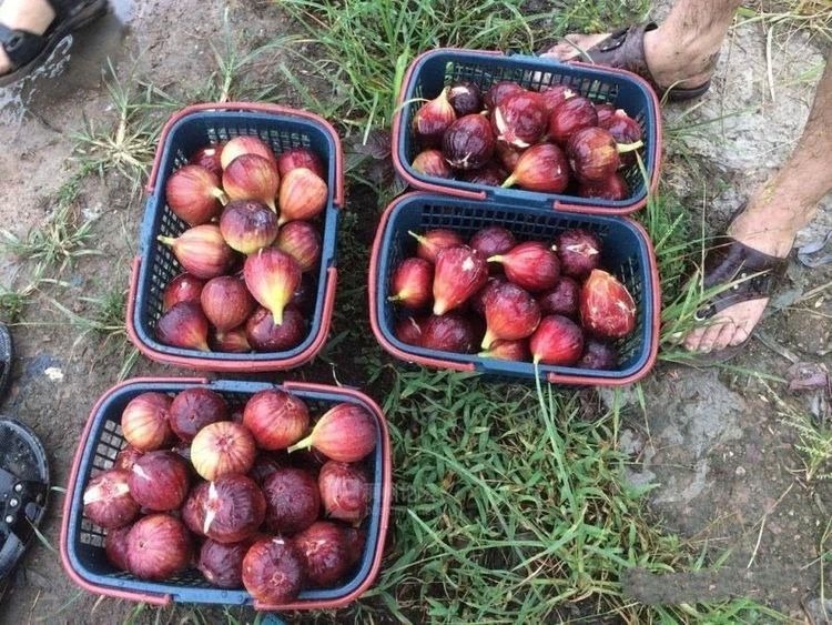 美容养颜|超市很常见的3种食物,美容养颜、延缓衰老,早吃早健康!