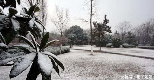 通州食记!这6种南通美食,过年回家就想吃