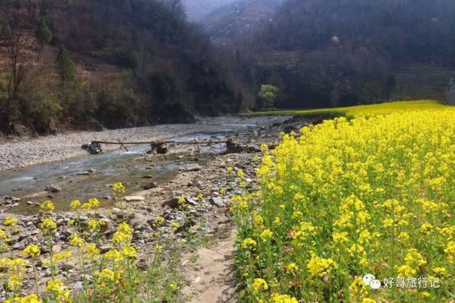 美丽的山城略阳，油菜花开了，一起相约赏花去