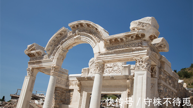彩虹树|25个冷知识:或许有些不合逻辑,但是经过检验的有趣事实