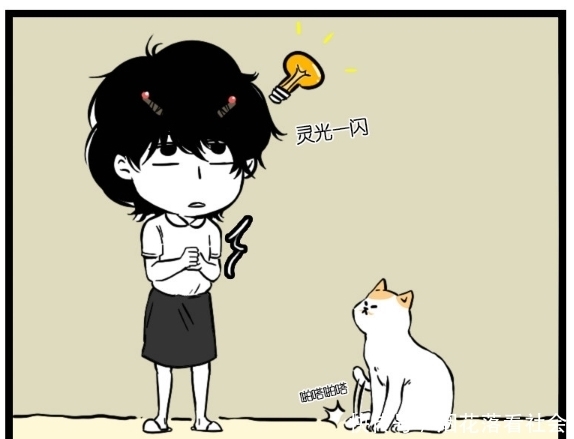 搞笑|搞笑漫画：撸猫的最高境界就是让所有猫都讨厌自己？