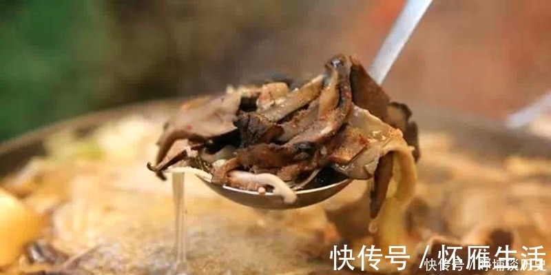 蘑菇|深山之中真正的绿色食品,产量很低,见到要珍惜,煲汤味道更香