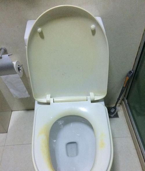 保洁阿姨告诉我,马桶用这个方法洗才是最干净的,知道晚了
