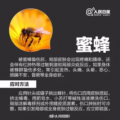 紧急提醒！近期尽量别穿这种颜色的衣服出门！