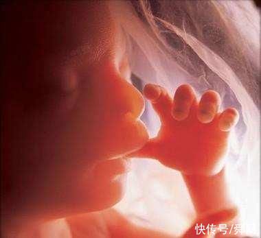 妊娠贫血|想怀孕后给胎宝宝足够营养，就要抓住胎儿这四个发育关键期!