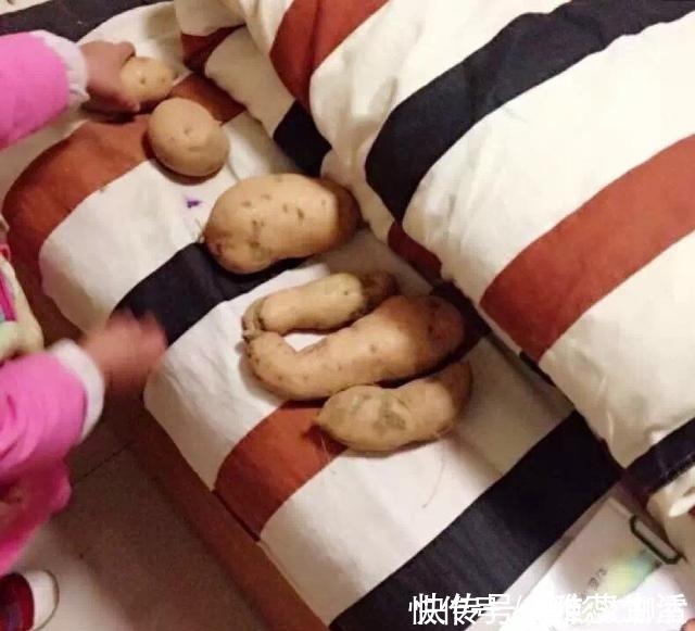 照片|全职妈妈晒沙发照片,引起所有家长共鸣,原来有娃的家都一样…