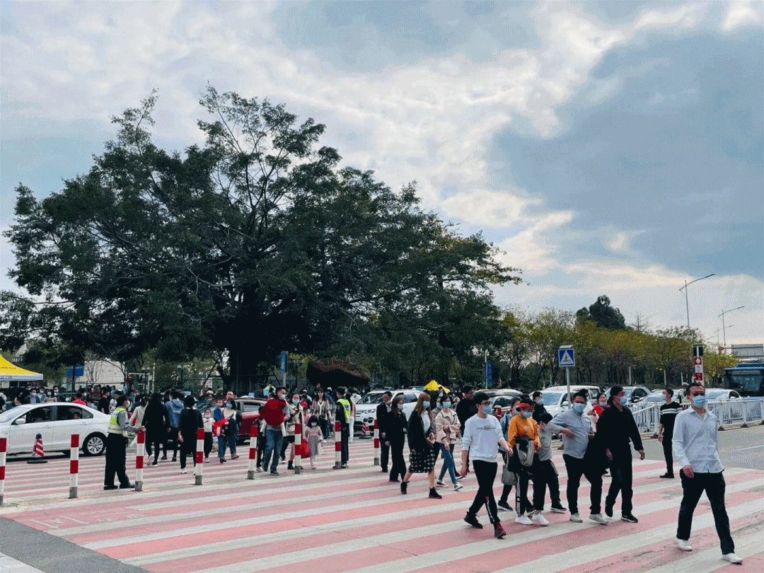 低薪|东莞“小蛮腰”刷屏朋友圈！牛年这些景点很“红”