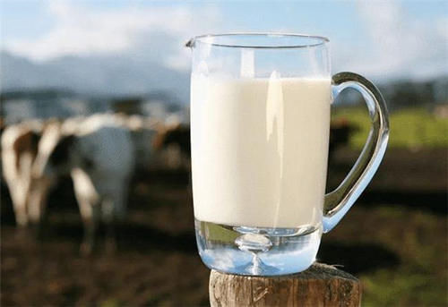 全脂牛奶|脱脂牛奶真的比较好？小心脱脂奶更容易让你发胖，全脂奶更健康