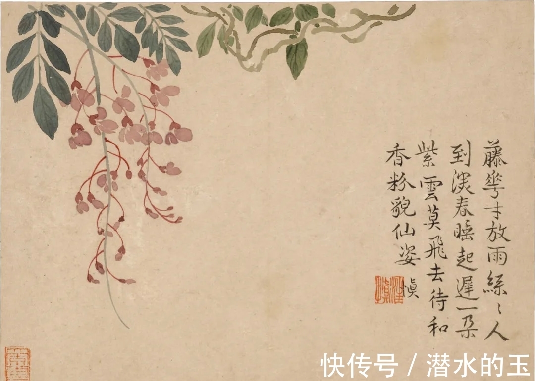 花卉图$汪士慎:一生心事为花忙丨私享艺术