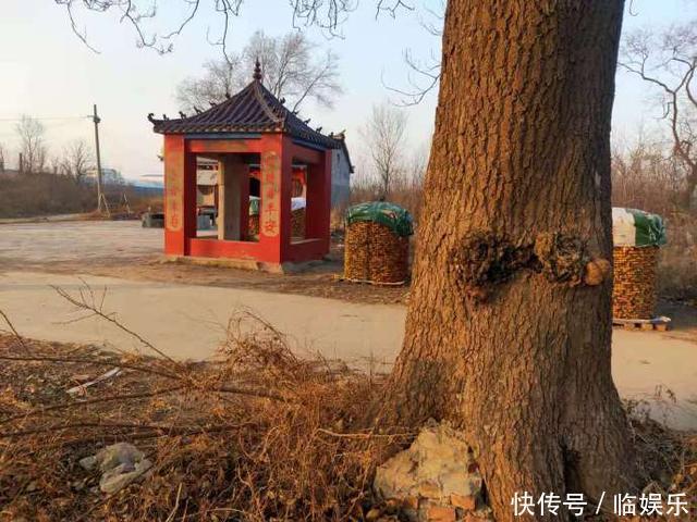 双屯“胡仙庙”的传说及第一状元孙伏伽墓的传说