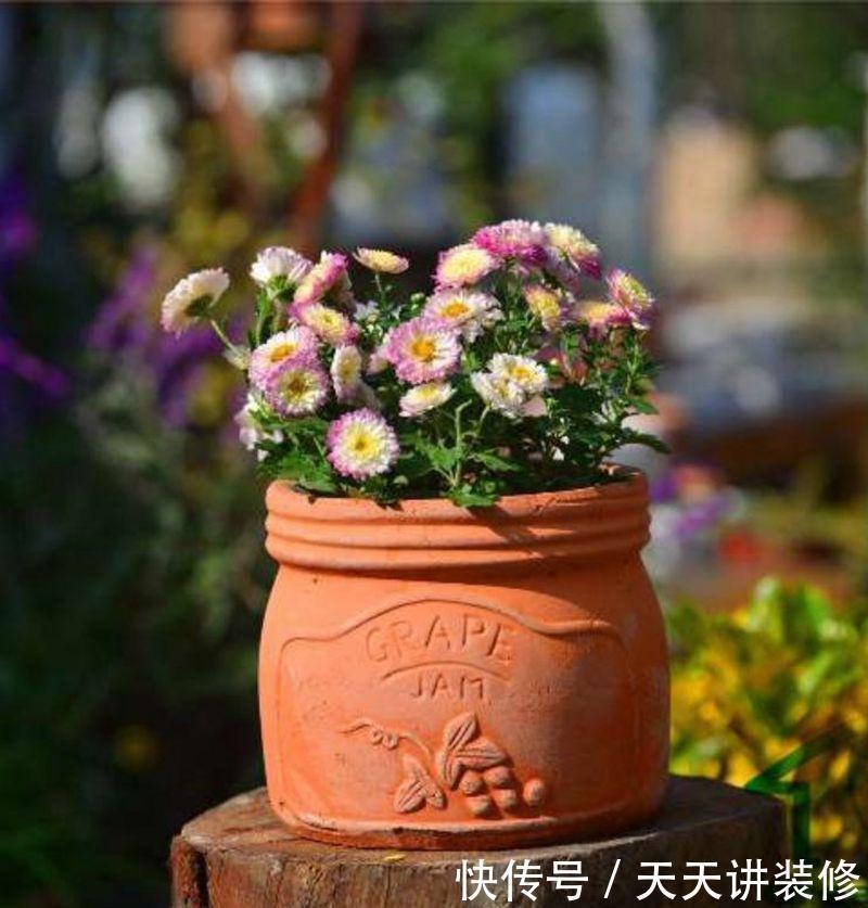 新手养花用红陶盆,红陶盆的优缺点,你知道多少?