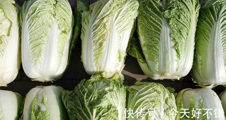 买白菜,不是越大越好!这三种白菜,菜贩子自己都不吃,涨知识了