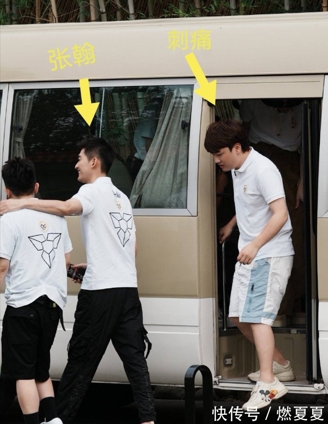 杨幂|杨幂加盟你我皆王者综艺,成为QG战队一员,林教练成为背景板