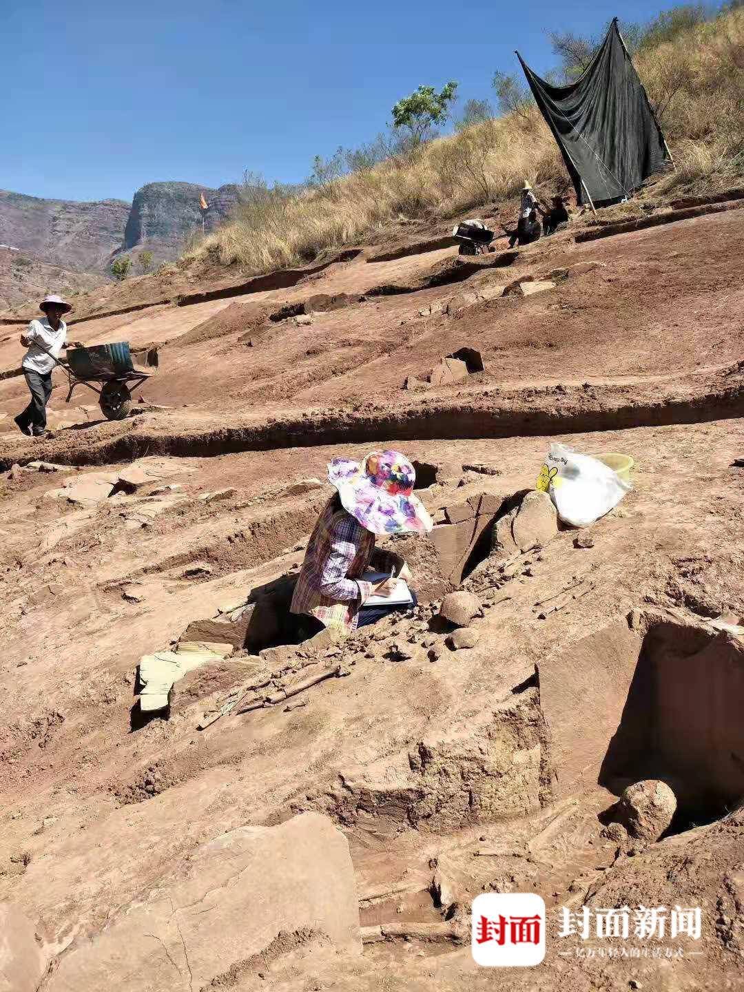 多学科|1500具人类遗骸中藏了多少历史密码？80后人骨鉴定专家“以骨释古”