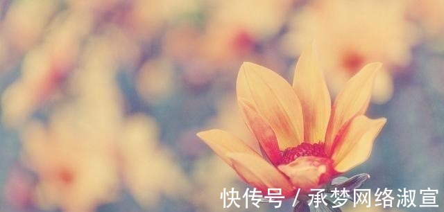 脸色|为人清高,且顶天立地,不看任何人脸色的三大星座,活出真实自我