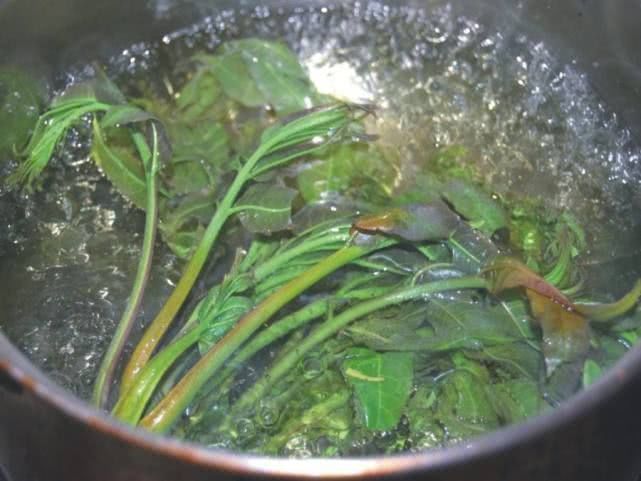 香味|香椿好吃功效多,但春季吃香椿有1个禁忌,还有很多人不清楚