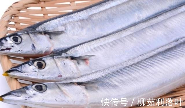 黄骨鱼|冬季7种鱼最肥美,肉质鲜嫩,营养健脑,孩子常吃记性好!