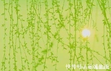 春风$十二首描写风的诗词，古人太有才，如何不开怀