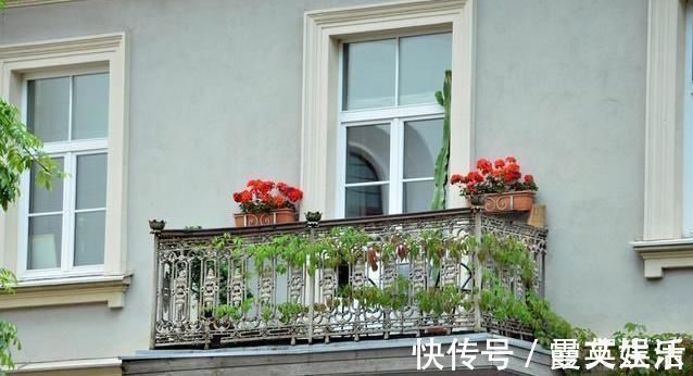 家里光照不好又想养花很纠结?此3个方法好用又实在,圆你养花梦