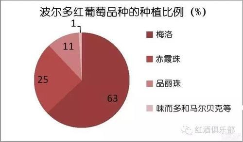  波尔多葡萄与波尔多葡萄酒的关系，波尔多的白葡萄品种