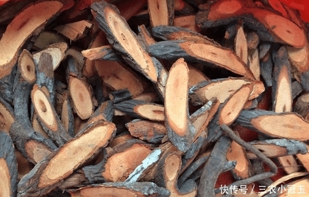 农村|农村这种野生物, 要是遇到不要在乎外貌, 内在价值其实更珍贵