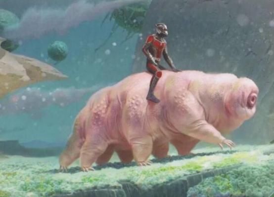 地球上最“逆天”的生物,能在太空中产崽,甚至违背自然规律