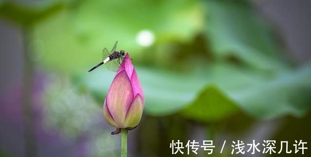 无思&易经:一个人,能定心无思,就可以激活无上的力量