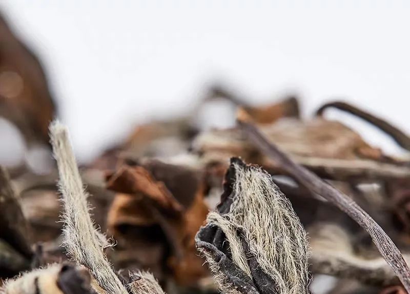 定制|多年转化后，为什么枣香成了寿眉饼茶的专属定制？