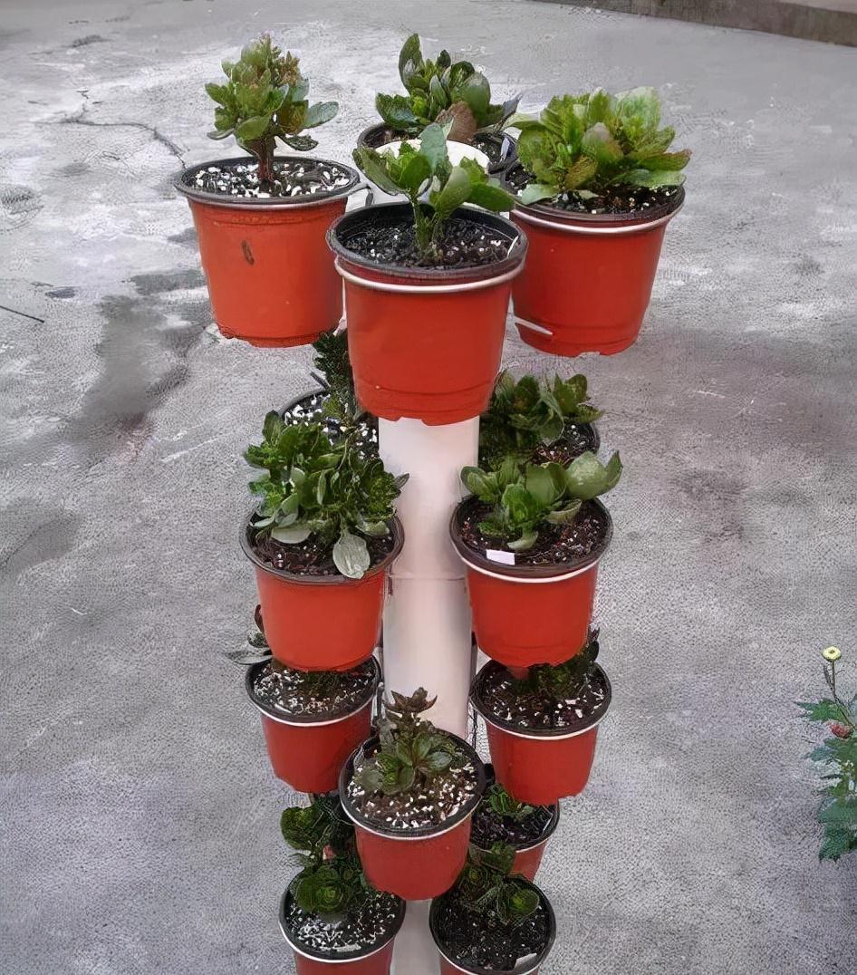 小知识|养花太占地方学会简单1招做个养花架,1㎡养20盆也不挤