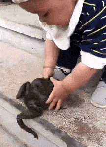 |搞笑GIF:搭讪碰了一鼻子灰之后成精!自己化解了自己的尴尬!