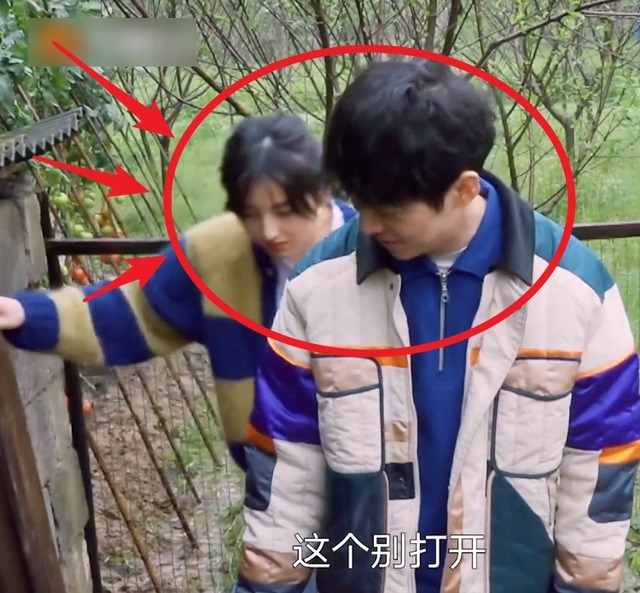 张艺兴 张艺兴去鸡窝掏鸡蛋,看到张子枫的举动,妹妹变得开朗调皮了