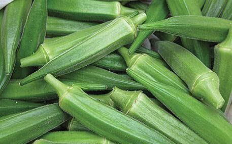 十年|长寿的人都有这5个好习惯,50岁之后照着做,多活十年并非难事