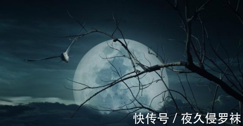 平生|高僧临终前写下平生唯一一首诗,短短28字,写出世人最向往的晚年