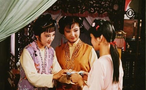 鹦哥#10岁的雪雁背井离乡,陪黛玉去人生地不熟的城市打拼,非等闲之辈