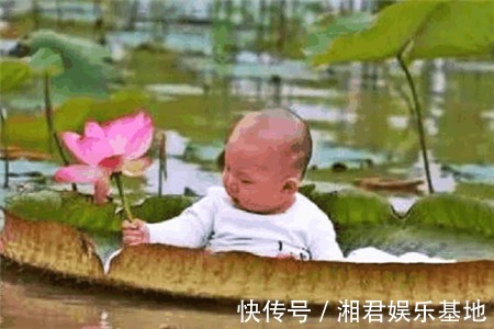 宝宝|男子将宝宝放在荷叶上,随后发生的事,让路人难以接受